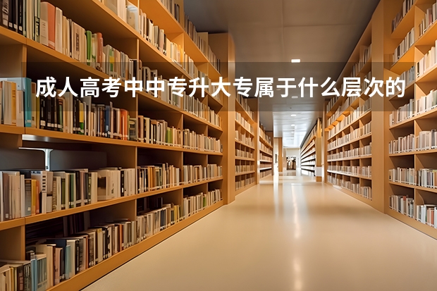 成人高考中中专升大专属于什么层次的考试？