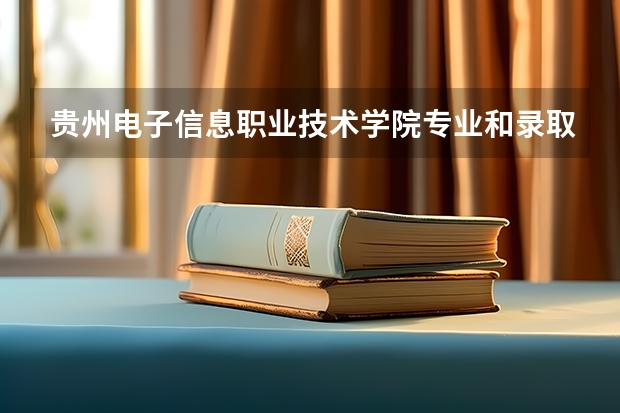 贵州电子信息职业技术学院专业和录取分数线介绍（院校简介）