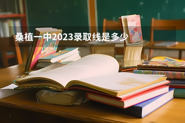 桑植一中2023录取线是多少