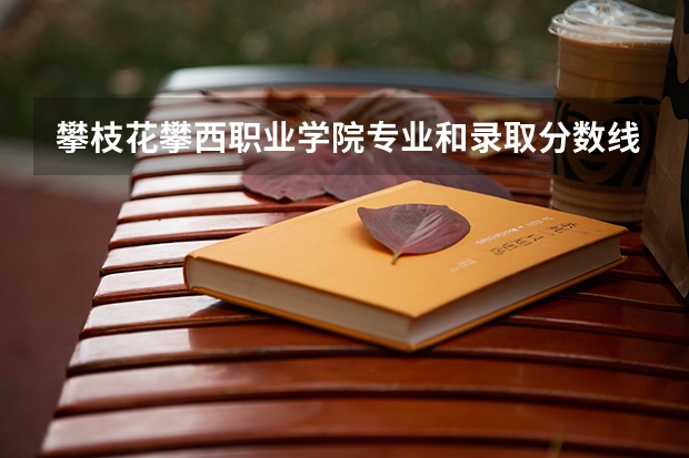 攀枝花攀西职业学院专业和录取分数线介绍（院校简介）