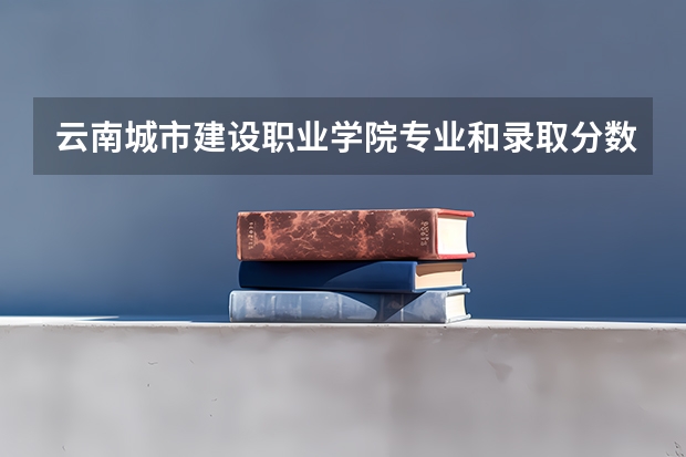 云南城市建设职业学院专业和录取分数线介绍（院校简介）