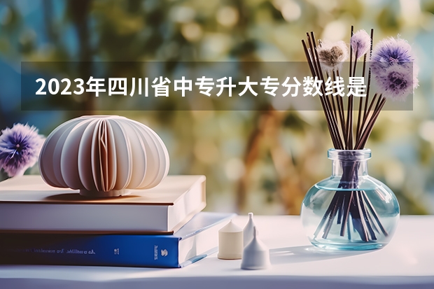 2023年四川省中专升大专分数线是多少？