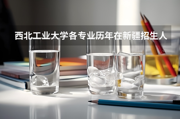 西北工业大学各专业历年在新疆招生人数 学费多少钱