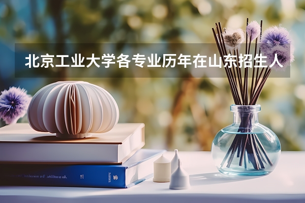 北京工业大学各专业历年在山东招生人数 学费多少钱