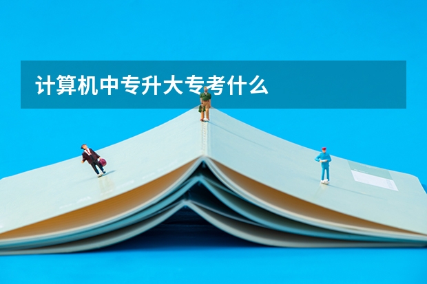 计算机中专升大专考什么