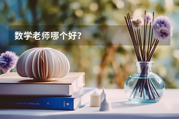 数学老师哪个好？