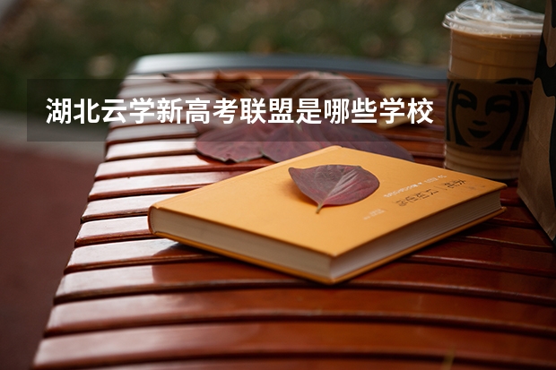 湖北云学新高考联盟是哪些学校