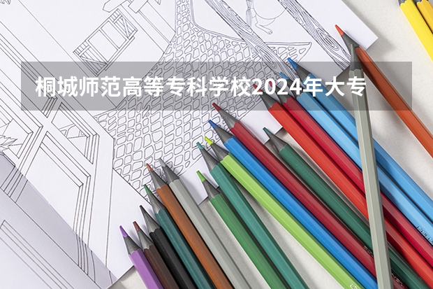 桐城师范高等专科学校2024年大专录取分数线（专科分数线预测）