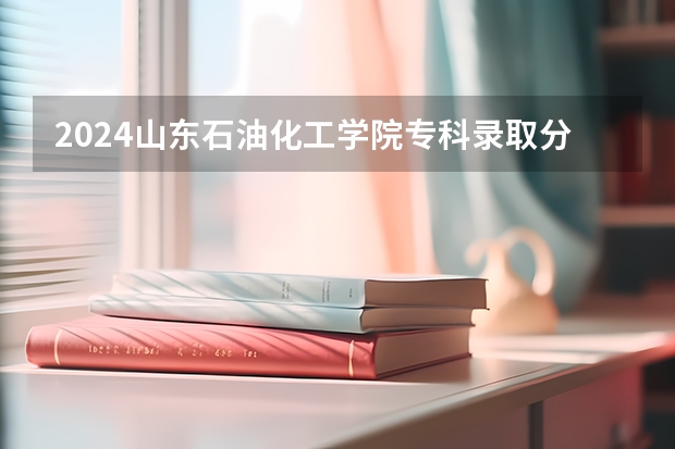 2024山东石油化工学院专科录取分数线是多少?