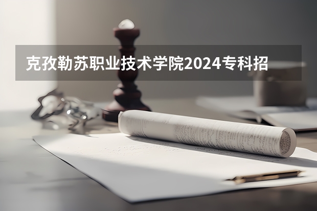 克孜勒苏职业技术学院2024专科招生计划