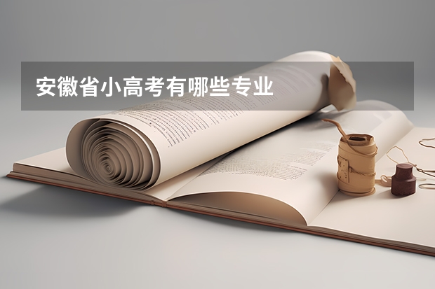 安徽省小高考有哪些专业