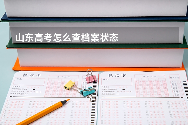 山东高考怎么查档案状态