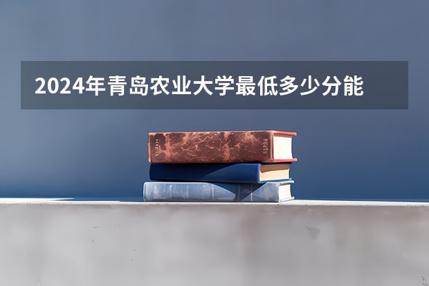 2024年青岛农业大学最低多少分能录取 山东历年录取分数线
