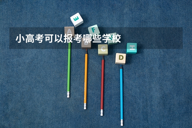 小高考可以报考哪些学校