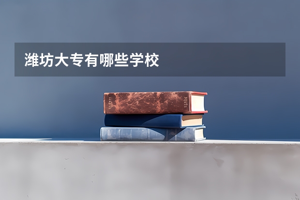 潍坊大专有哪些学校