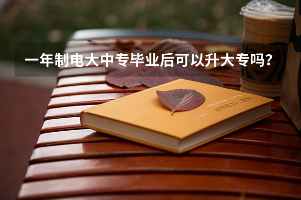 一年制电大中专毕业后可以升大专吗？