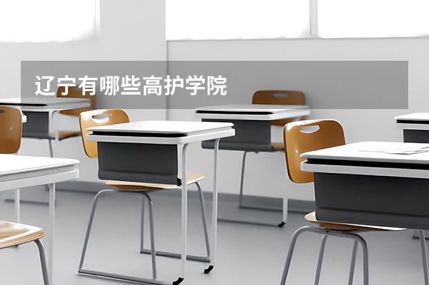 辽宁有哪些高护学院