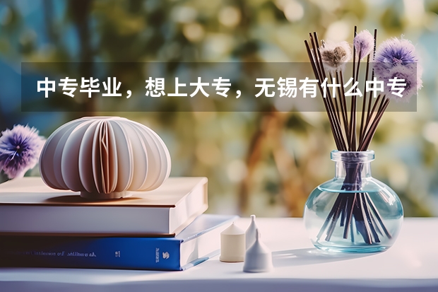 中专毕业，想上大专，无锡有什么中专升大专的学校推荐吗？