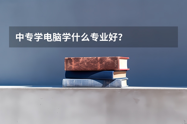 中专学电脑学什么专业好？