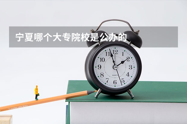 宁夏哪个大专院校是公办的