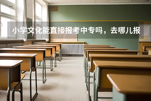 小学文化能直接报考中专吗,去哪儿报?湖北中专官方报名入口