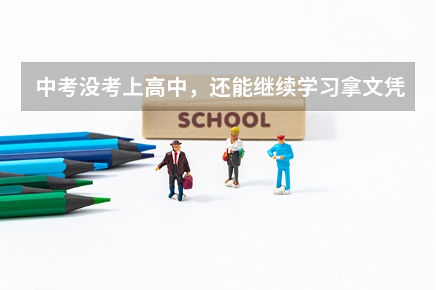 中考没考上高中，还能继续学习拿文凭吗？