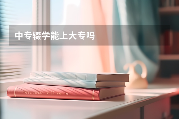 中专辍学能上大专吗