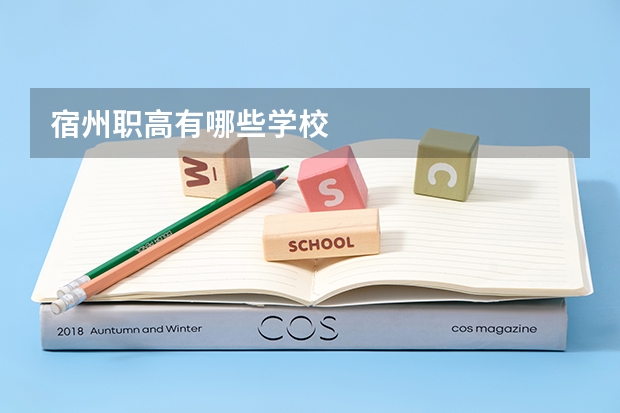 宿州职高有哪些学校