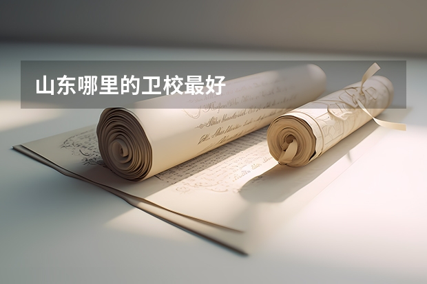 山东哪里的卫校最好