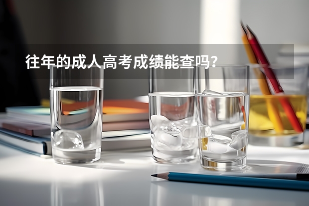 往年的成人高考成绩能查吗？