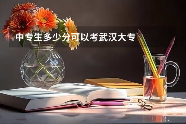 中专生多少分可以考武汉大专