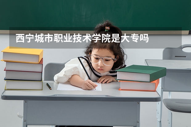 西宁城市职业技术学院是大专吗