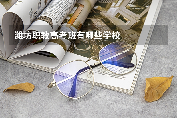 潍坊职教高考班有哪些学校