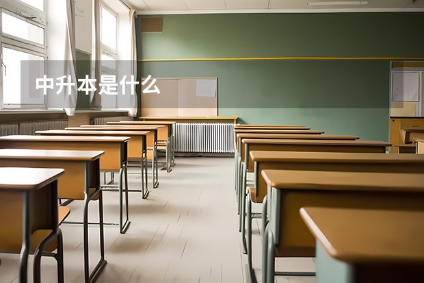中升本是什么