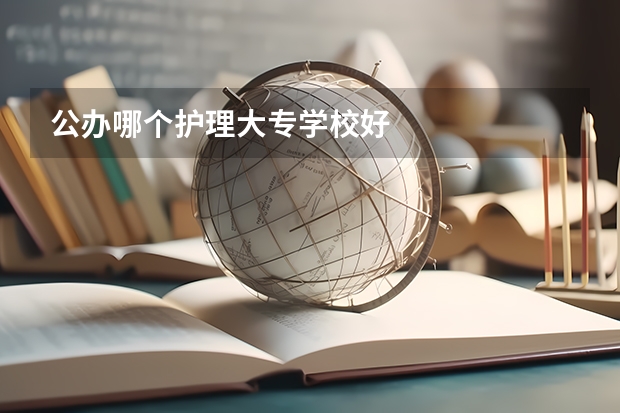 公办哪个护理大专学校好
