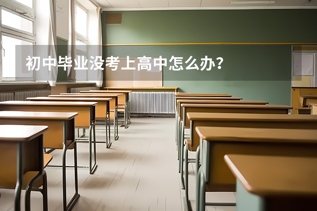 初中毕业没考上高中怎么办?