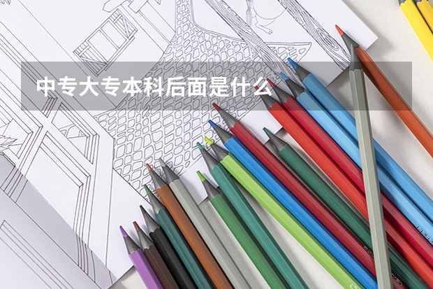 中专大专本科后面是什么