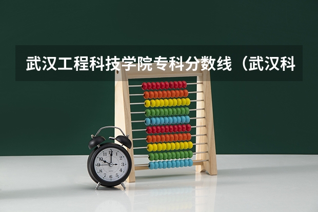 武汉工程科技学院专科分数线（武汉科技大学中外合作专业分数线）